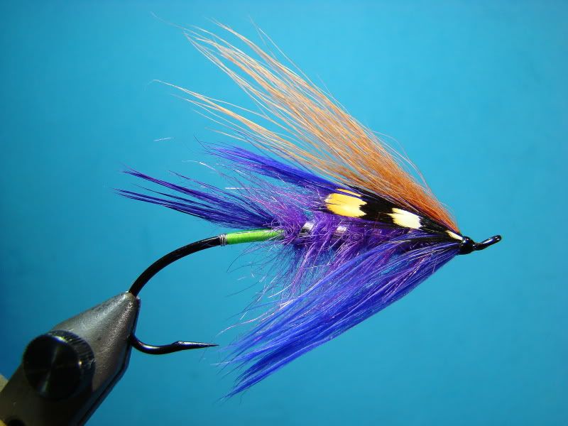 Idaho Steelhead on the Spey, Steelhead Fishing Idaho, Purple Peril Fly