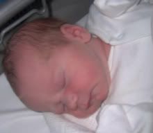 LittleFella006-1.jpg