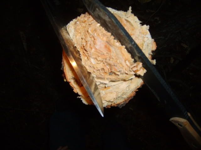 [Linked Image from i214.photobucket.com]