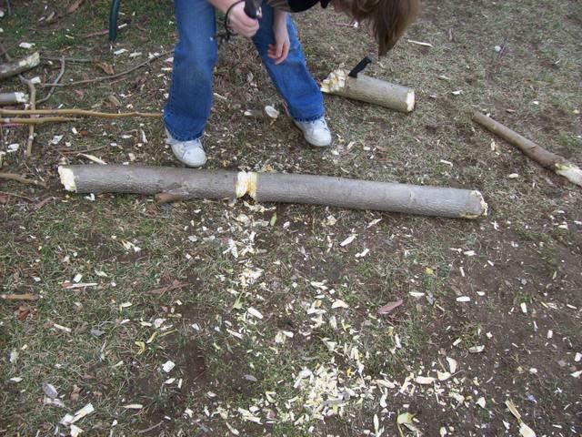 [Linked Image from i214.photobucket.com]