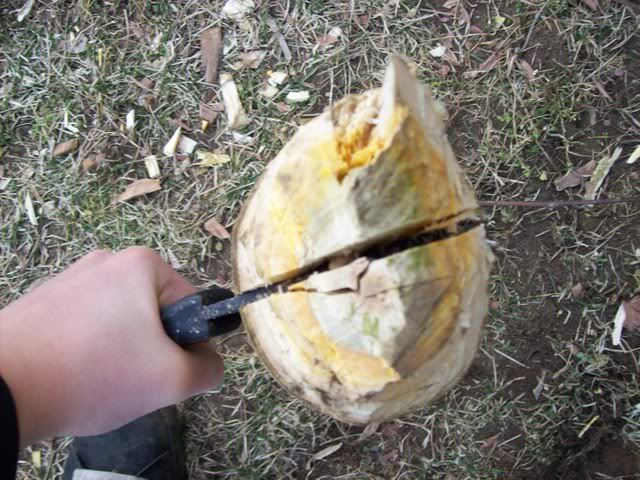 [Linked Image from i214.photobucket.com]