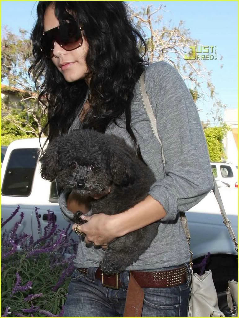 http://i214.photobucket.com/albums/cc23/colorbow/vanessa-hudgens-shadow-08.jpg