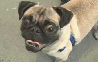 ndsW2.gif~original