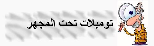 الصورة الأصلية