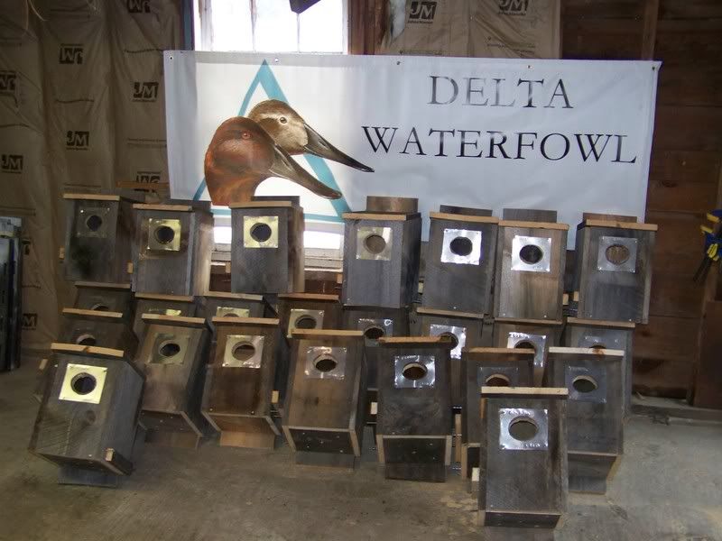 Wood duck boxes Duck Hunting Forum