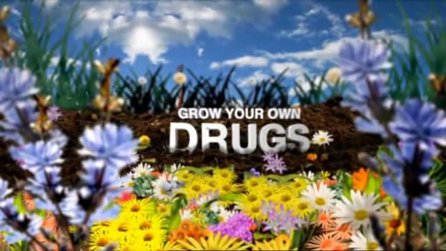 Grow Your Own Drugs   S01E05 (30 March 2009)[WS PDTV(XviD)] preview 0