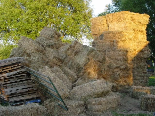 haystack11.jpg
