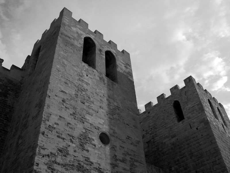 IMAGE: http://i214.photobucket.com/albums/cc306/biya_photos/Castle2bw800.jpg