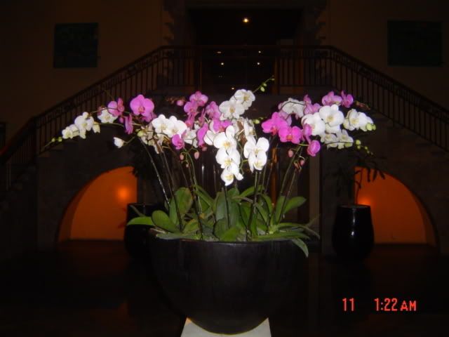 voyagedenocesbali008.jpg
