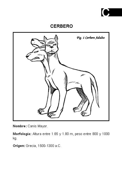 Cerbero 01