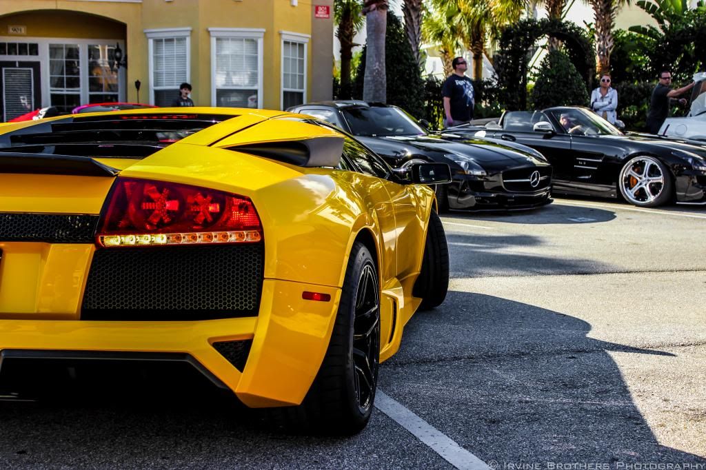 Irvine Brothers Photography Boston/New England + Florida Exotics