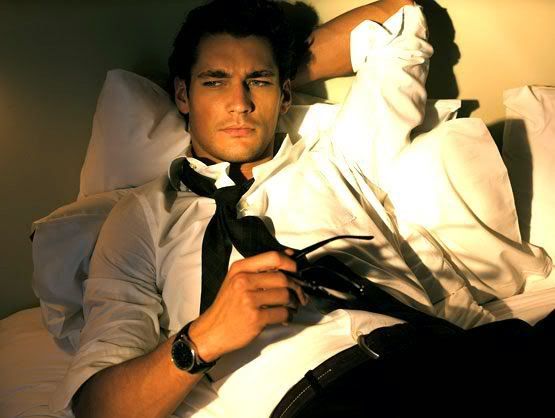 david gandy similitude