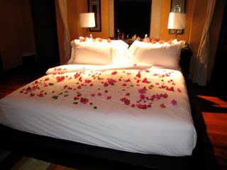 Floral turn down service Pictures, Images and Photos