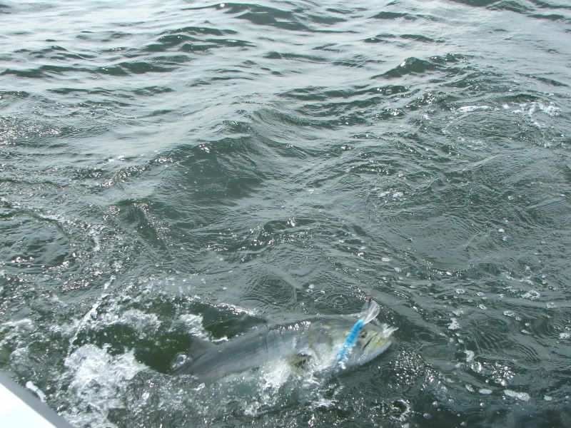 DSCF4903.jpg