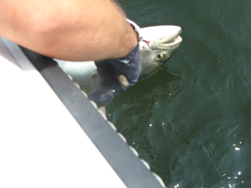 DSCF4912.jpg