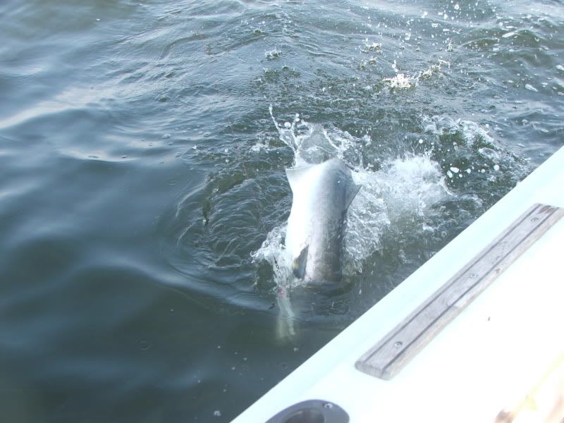 DSCF4946.jpg