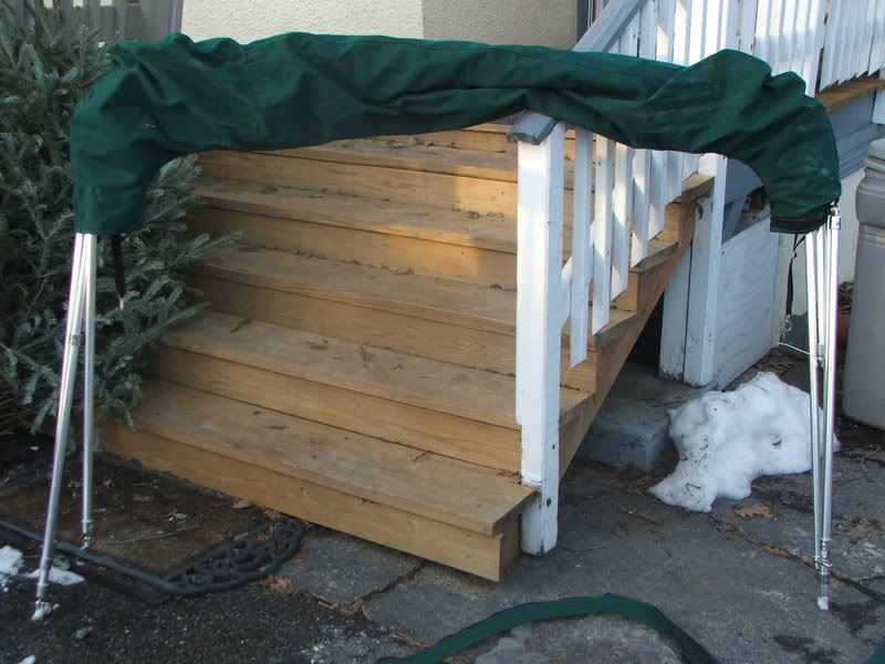 DSCF2833.jpg