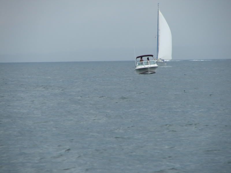 DSCF3435.jpg
