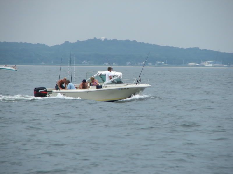 DSCF3442.jpg