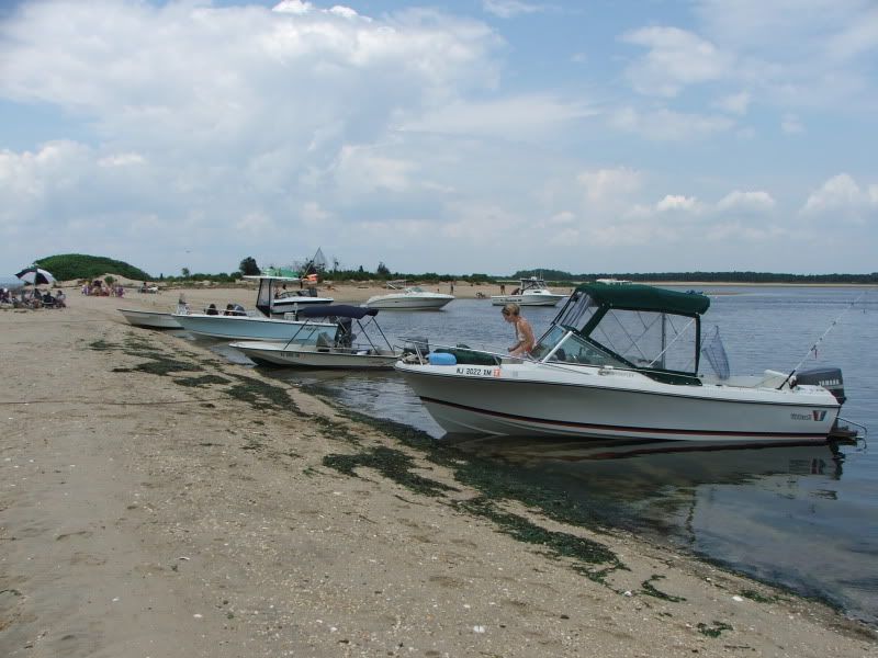 DSCF3486.jpg