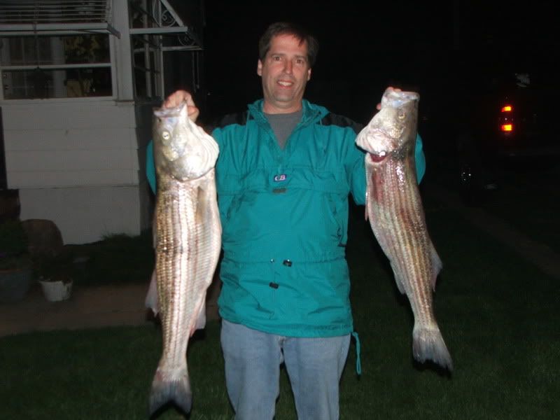 DSCF4517.jpg