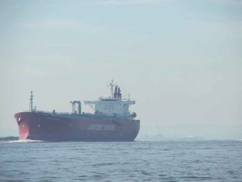 DSCF5282.jpg