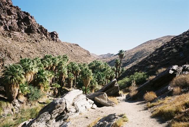 Palm Springs Real Estate Palm Springs Indian Canyons