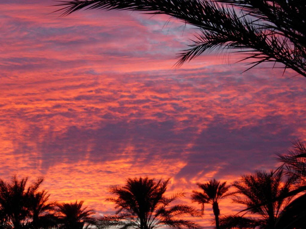 Visit Palm Springs, CA in November