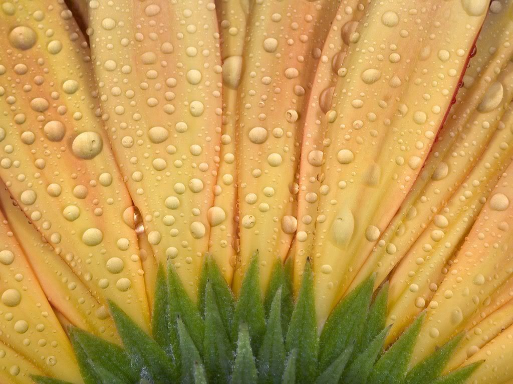 Droplets.jpg