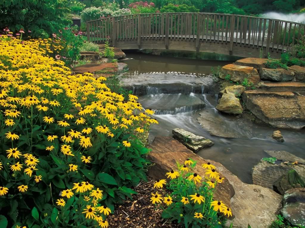 HoldenArboretumKirtlandOhio.jpg