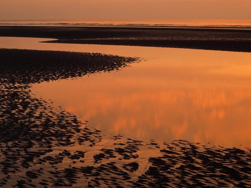 CoastalLandscapeinEveningLightEurop.jpg