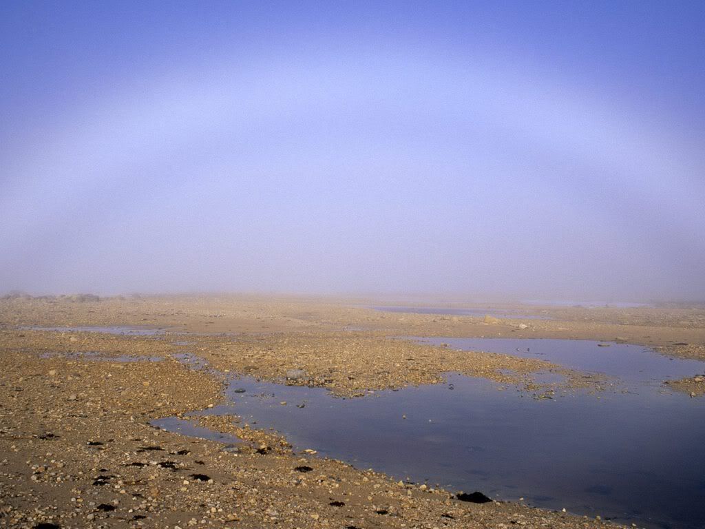 FogBowOverTundraSiberia.jpg