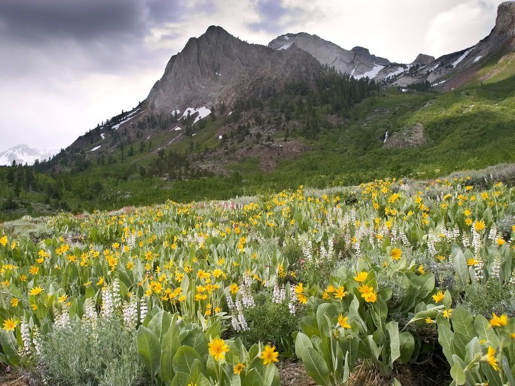 McGeeCreekCanyonJohnMuirWildernessC.jpg