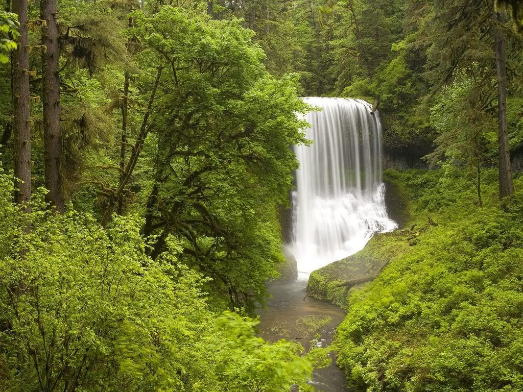 MiddleNorthFallsSilverFallsStatePar.jpg