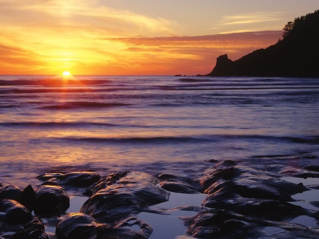 OswaldWestStateParkTillamookCountyO.jpg