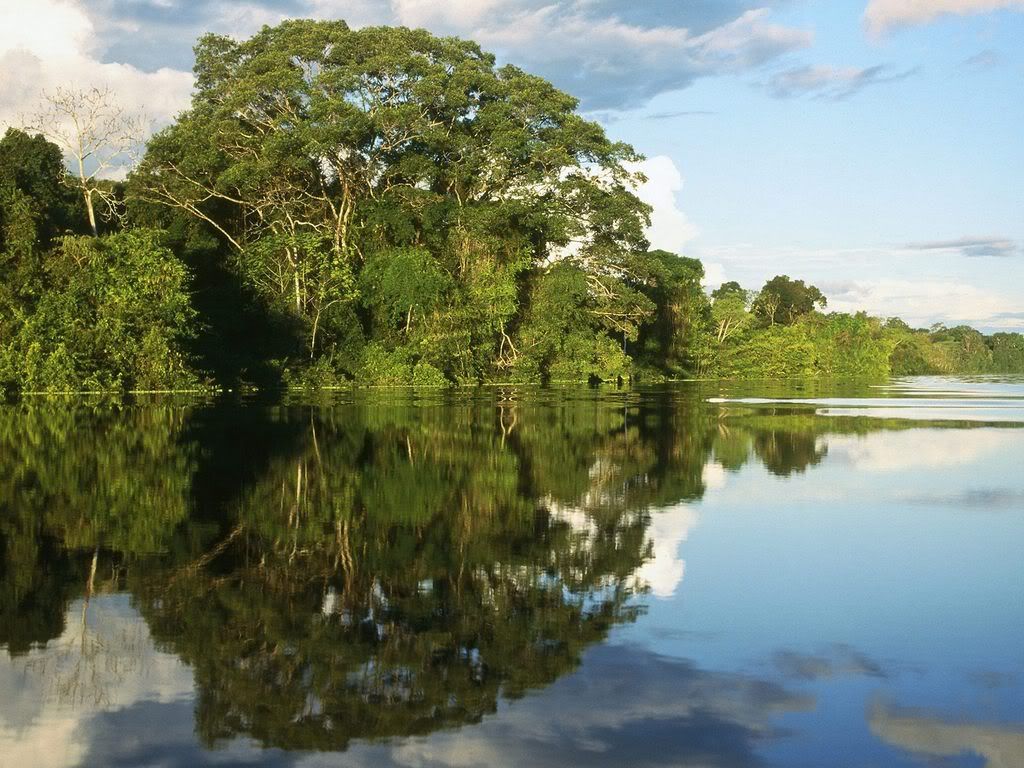 Pacaya-SamiriaNationalPeserveAmazon.jpg