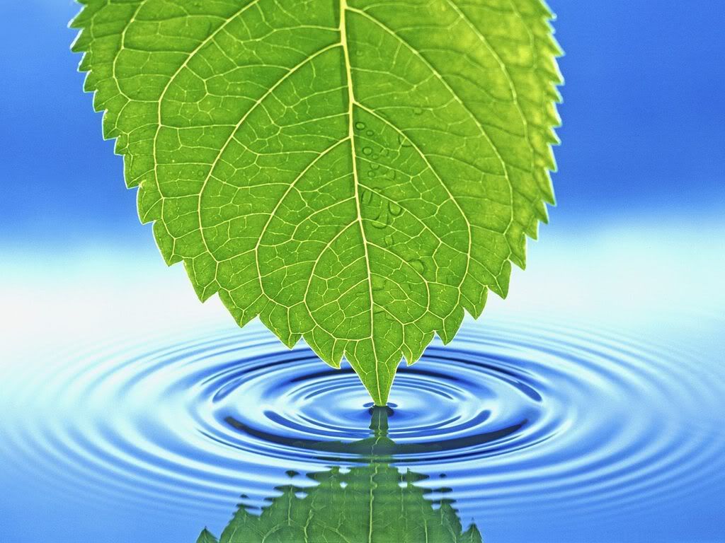 Ripples.jpg