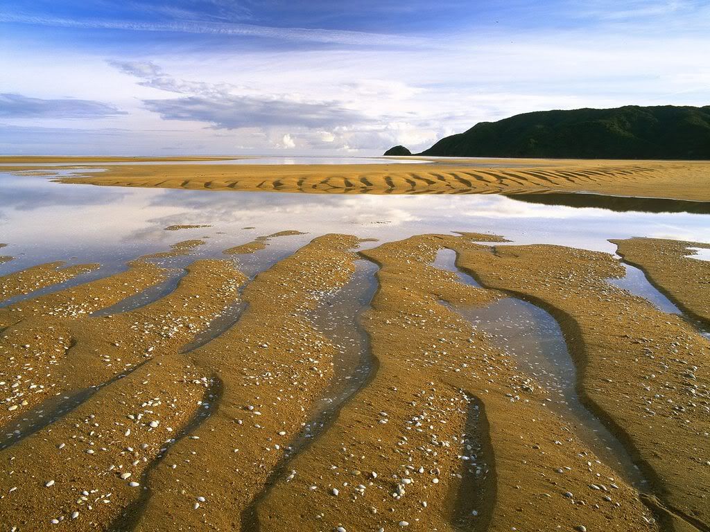 RipplesandReflectionsAbelTasmanNati.jpg