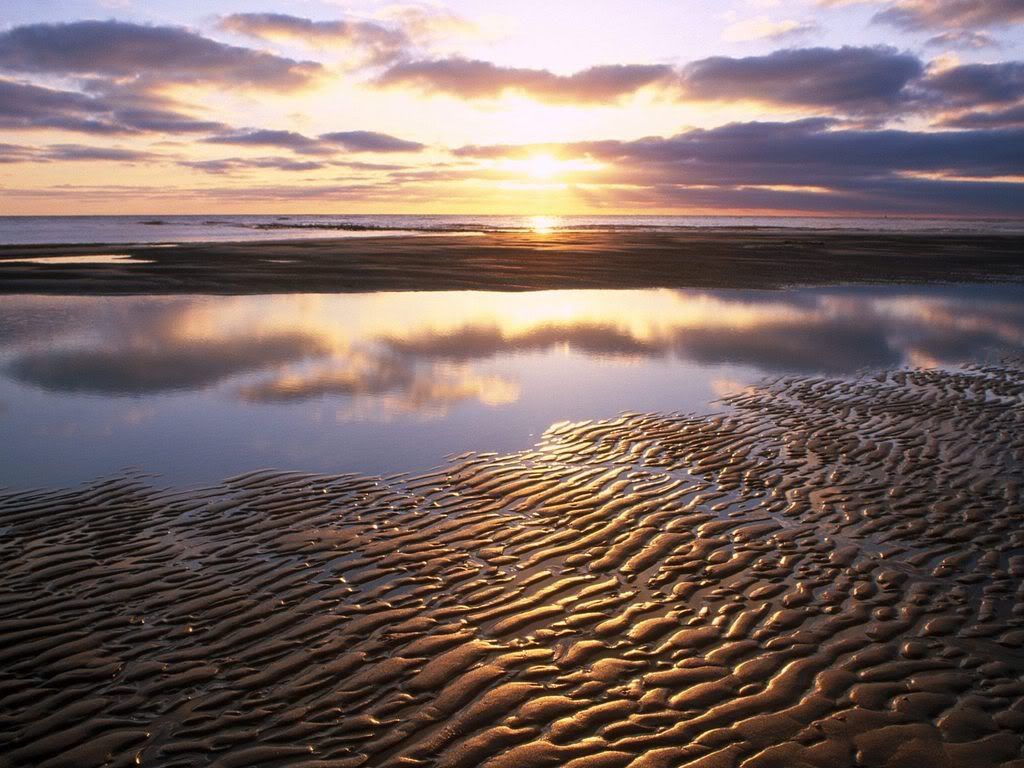 TexelTheNetherlands.jpg