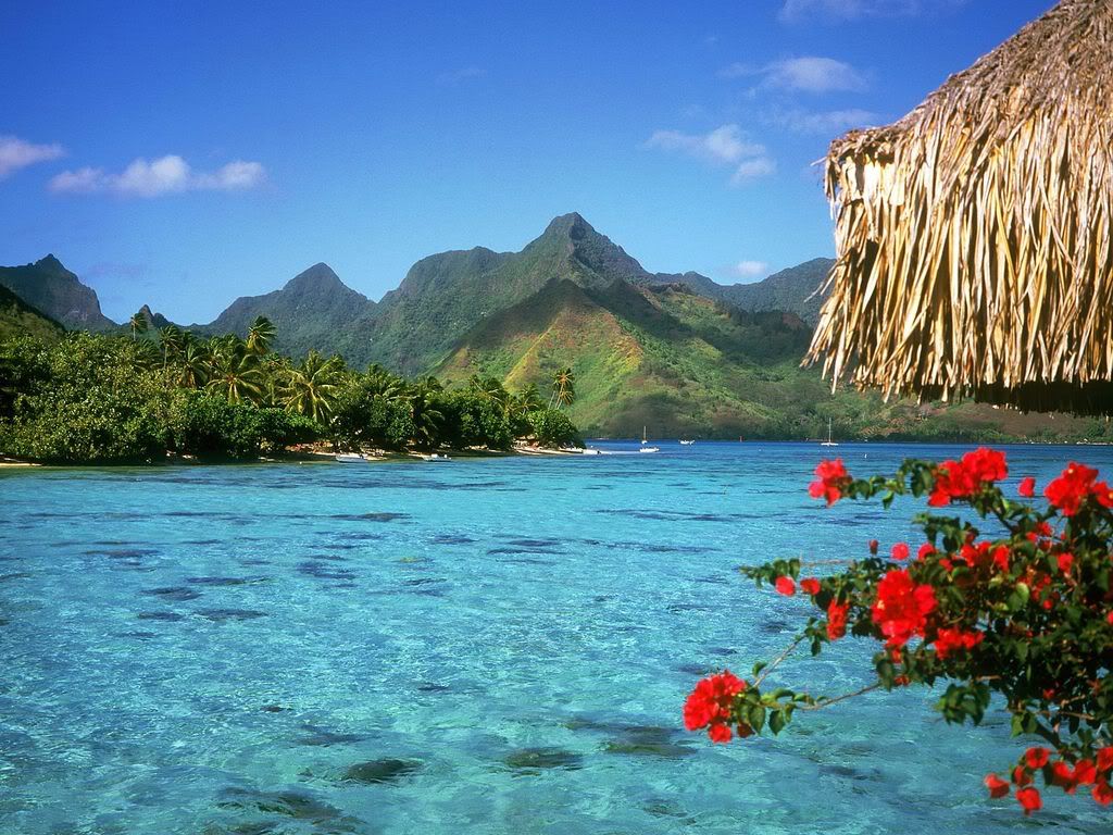 TranquilLagoonBoraBoraIslandFrenchP.jpg