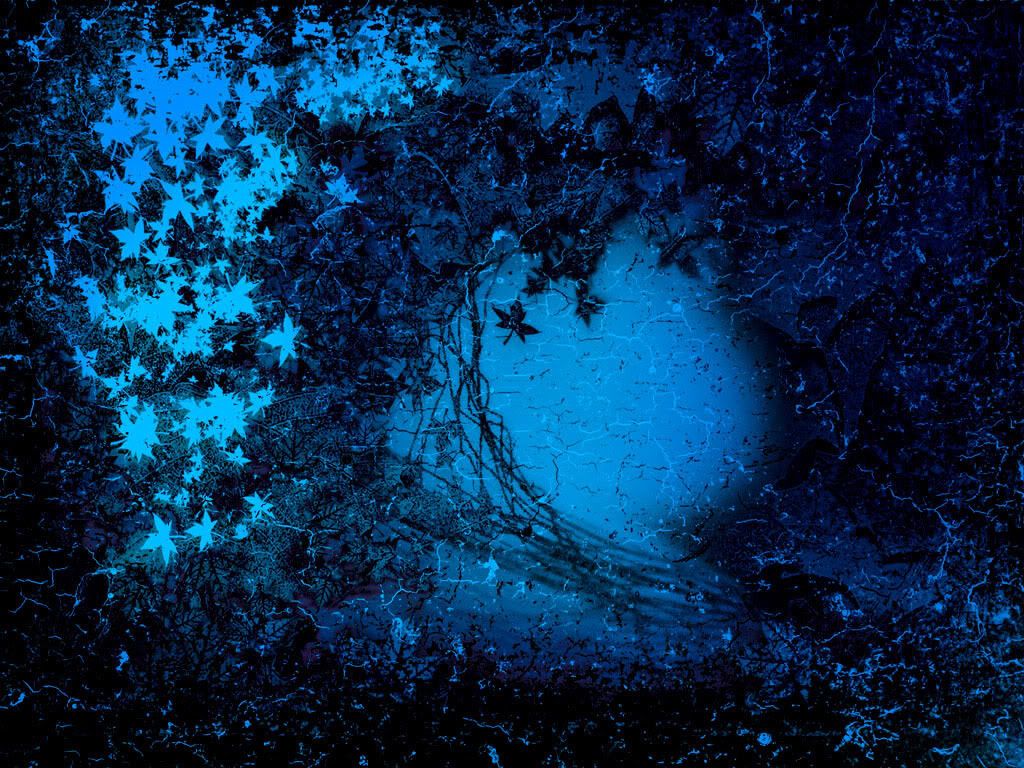 10241743900.jpg