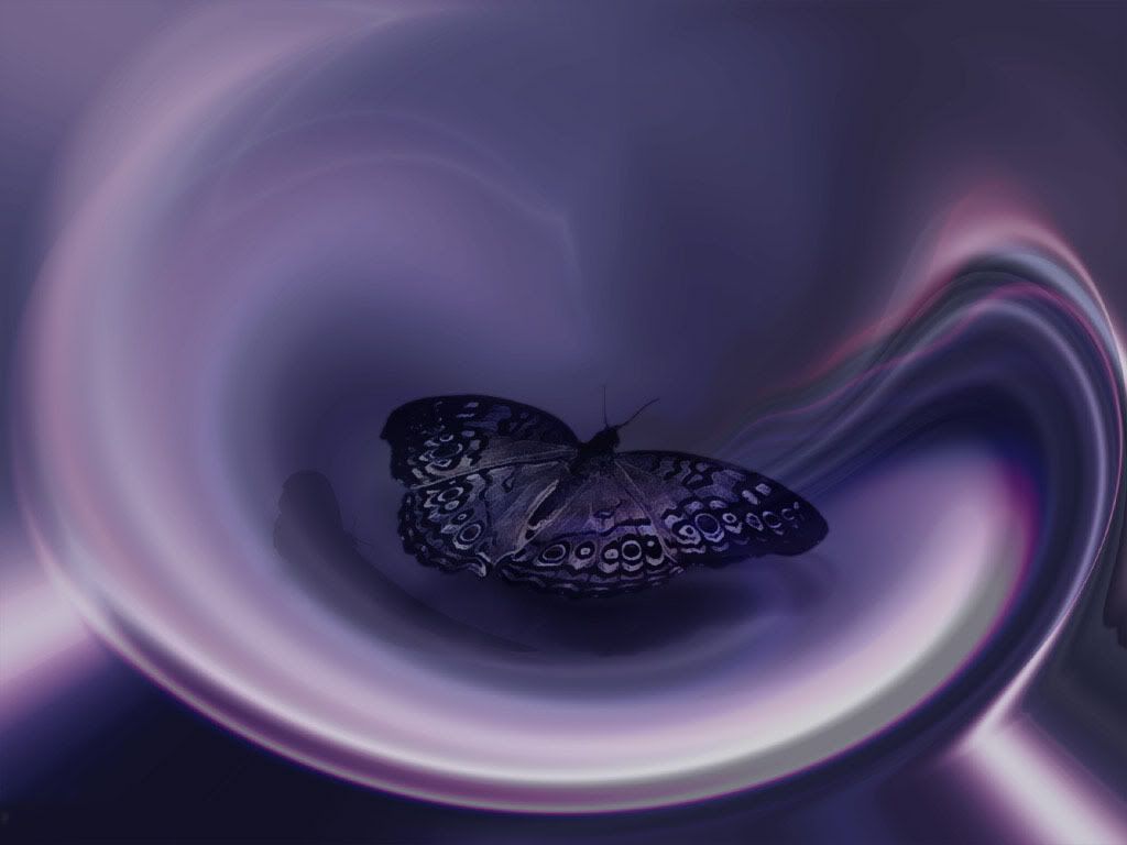 10241758430.jpg