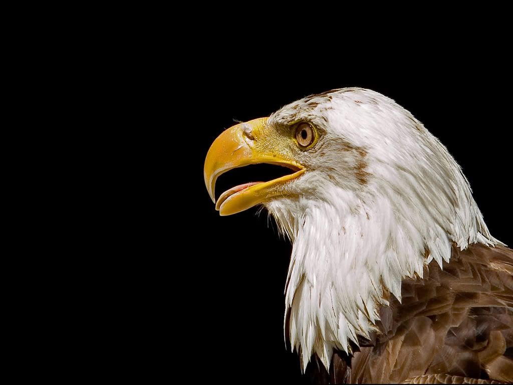 11-1.jpg