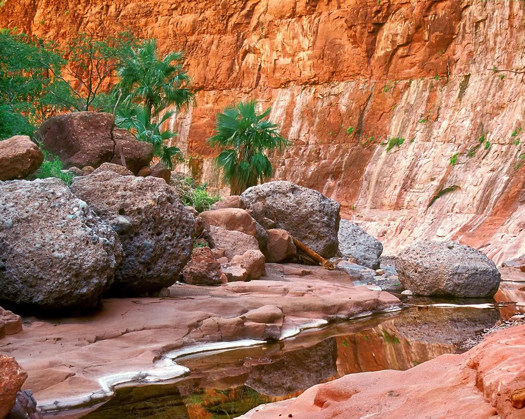 1280_1024_nature_scene_wallpaper-1.jpg