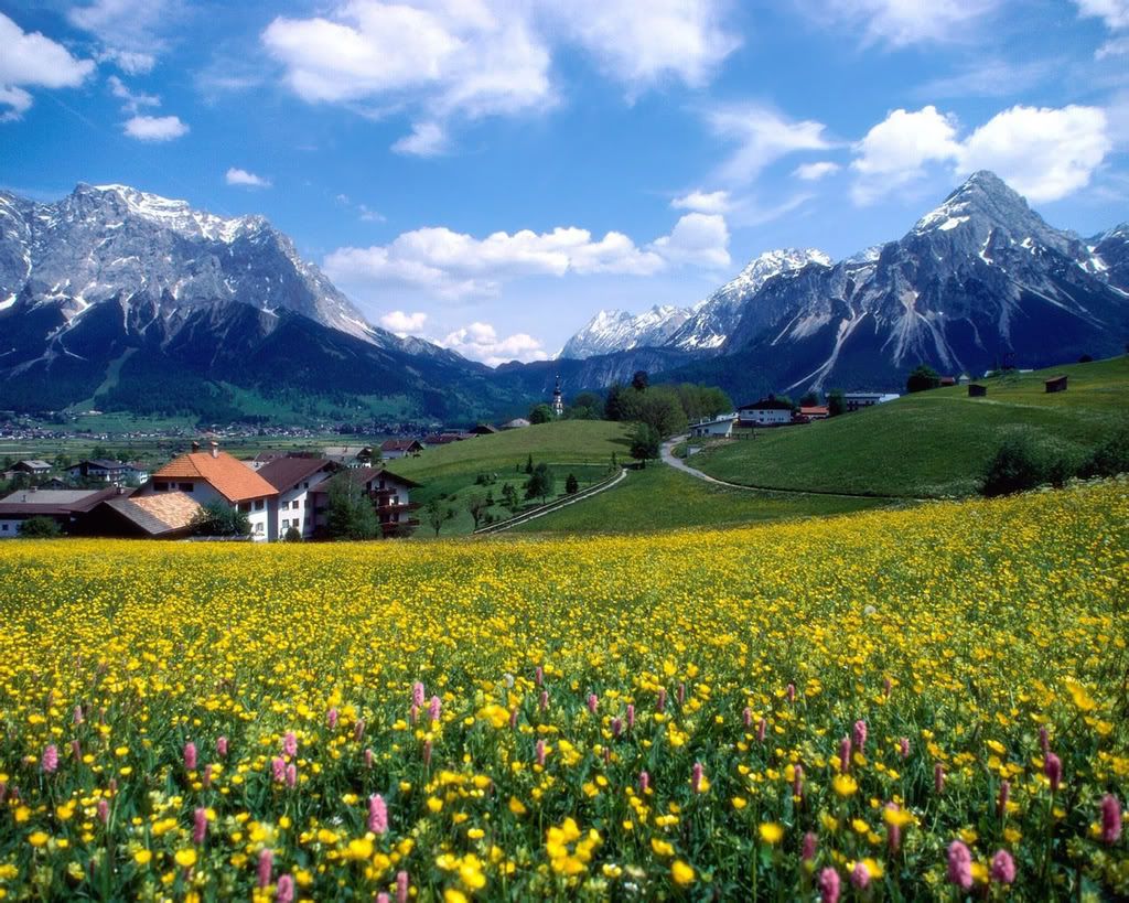 1280_1024_nature_scene_wallpaper-10.jpg