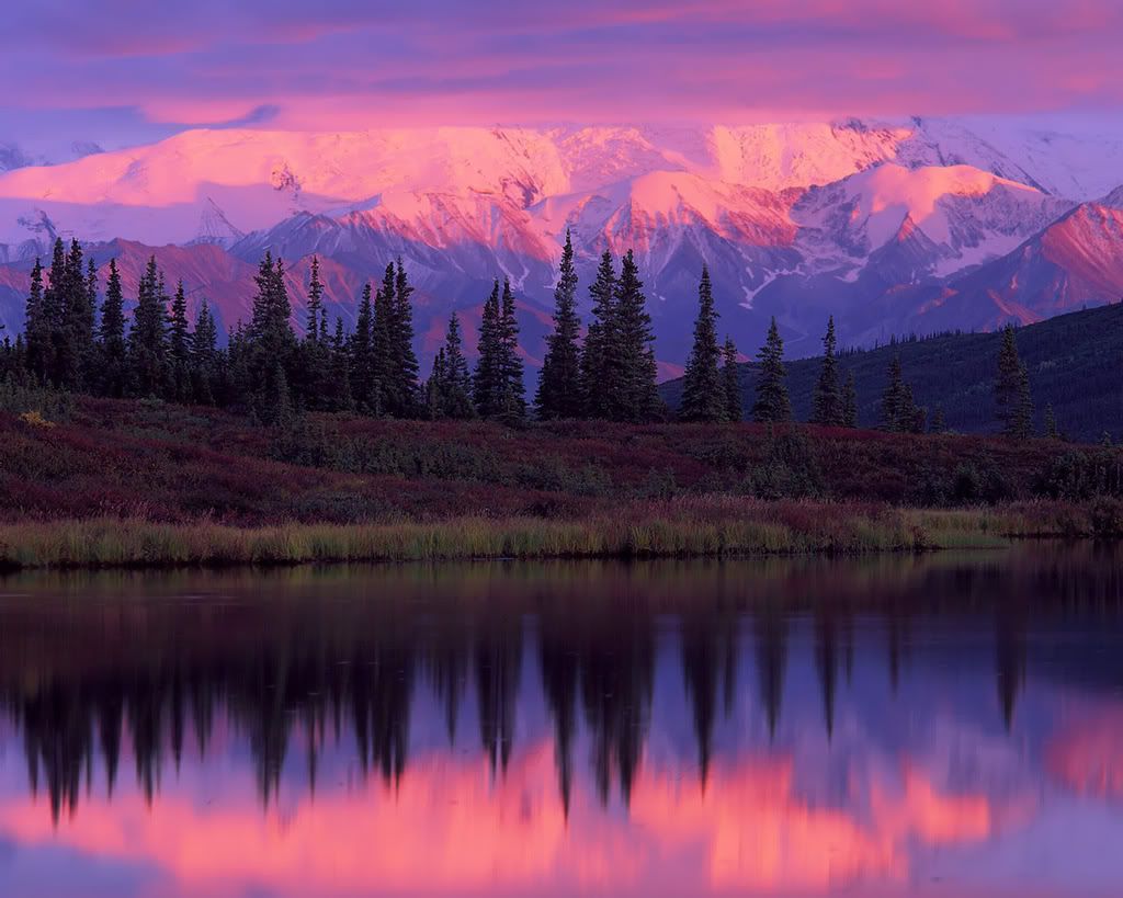 1280_1024_nature_scene_wallpaper-11.jpg