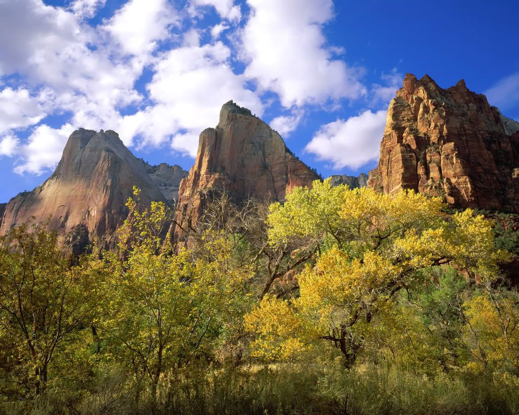1280_1024_nature_scene_wallpaper-14.jpg