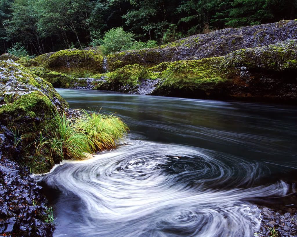 1280_1024_nature_scene_wallpaper-17.jpg