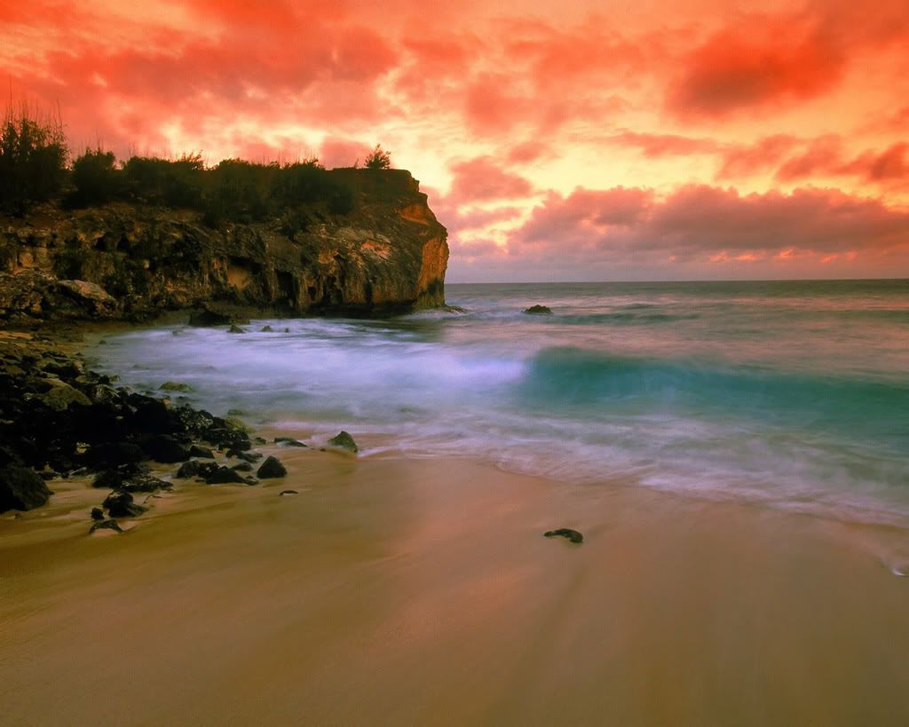 1280_1024_nature_scene_wallpaper-20.jpg