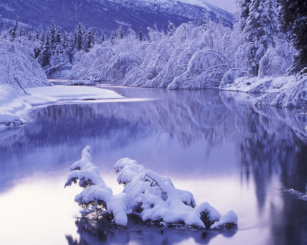 1280_1024_nature_scene_wallpaper-22.jpg